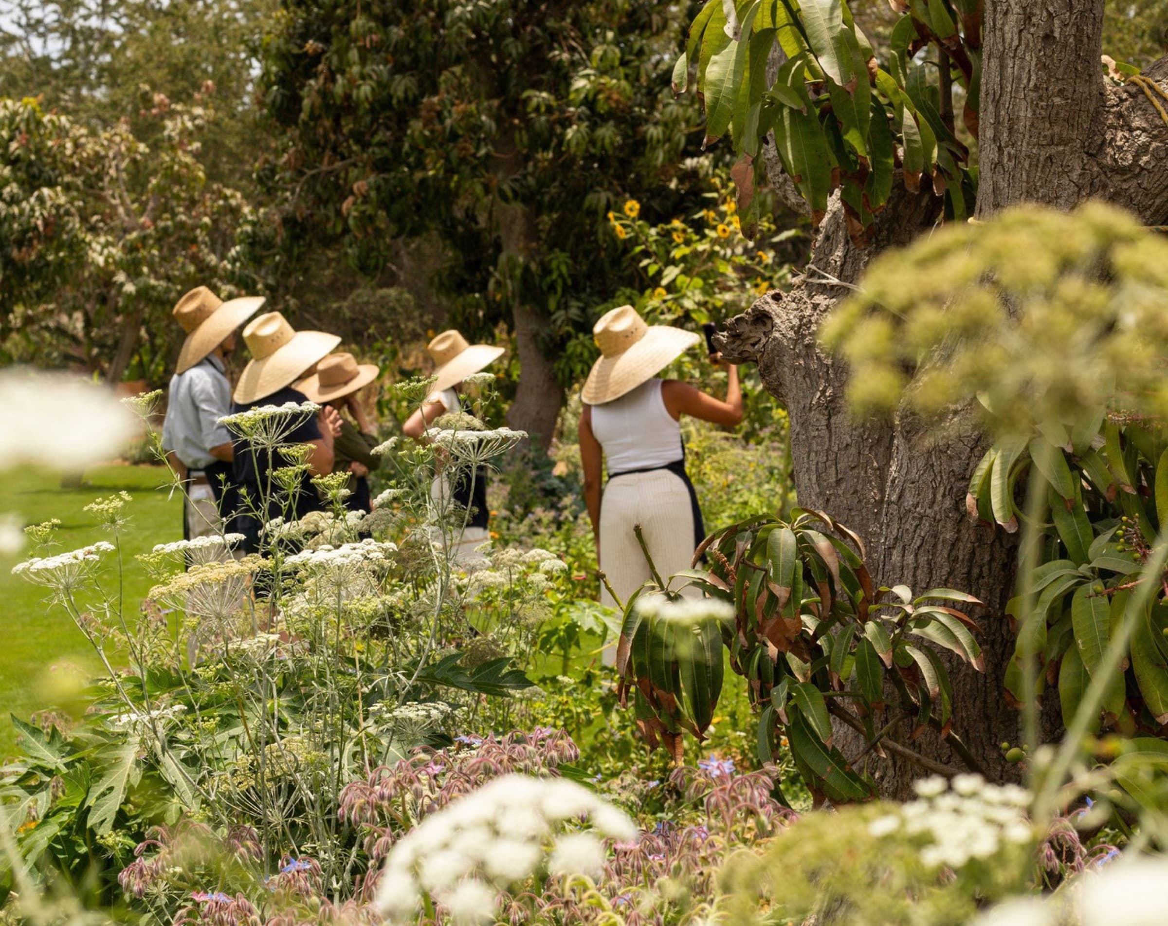 Women in straw sun hats picking herbs and flowers in a lush green Flora Farms garden.