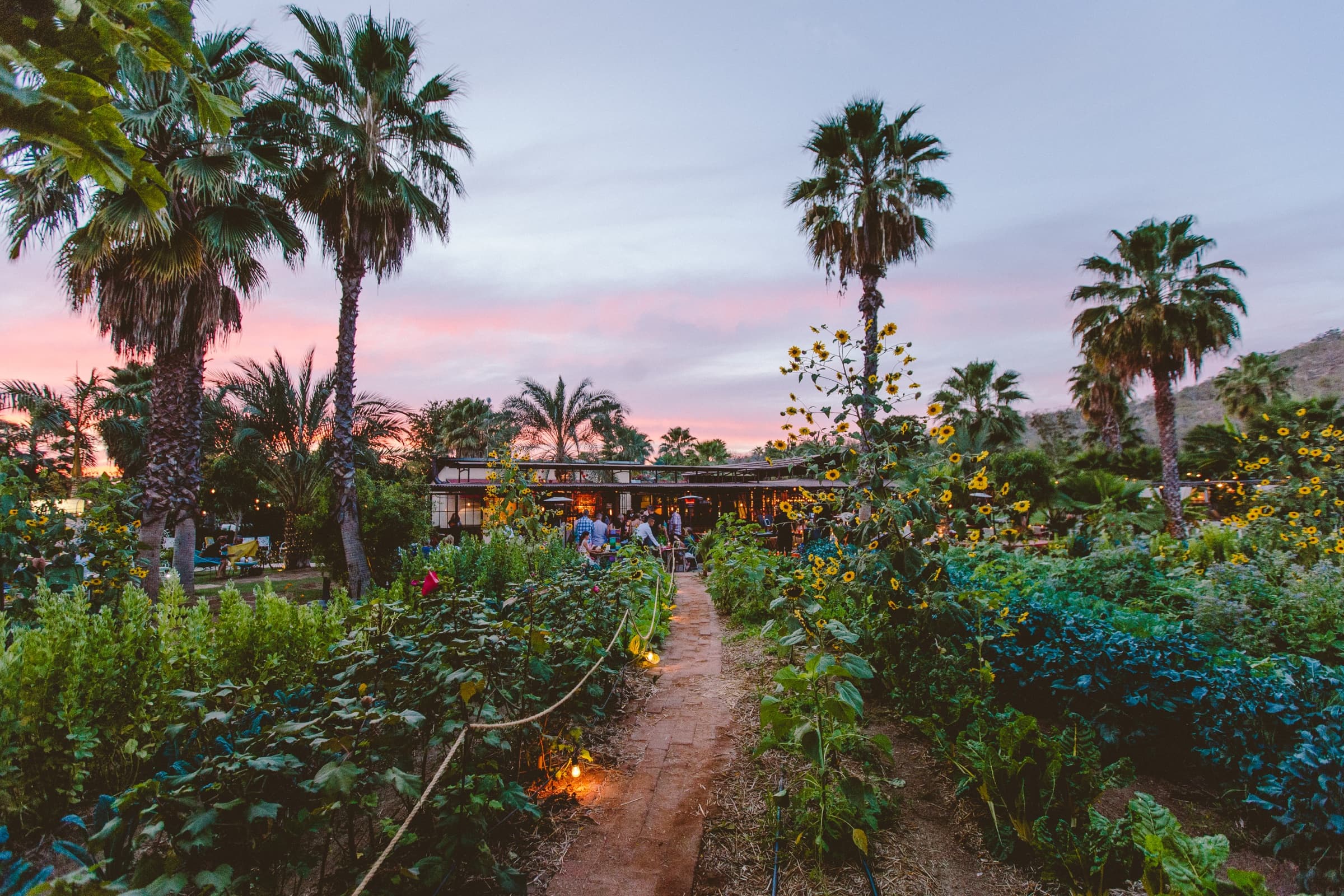 Flora Farms in San José del Cabo: scenic view of the property with mixed tropical gardens and rustic buildings.